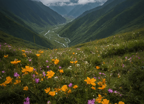 Valley of Flowers Trek